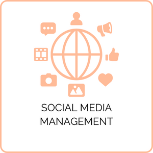 prestations social media management